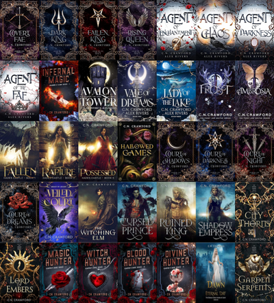 A Spy Among the Fallen Series & more by C N Crawford ~ 35 MP3 AUDIOBOOK COLLECTION