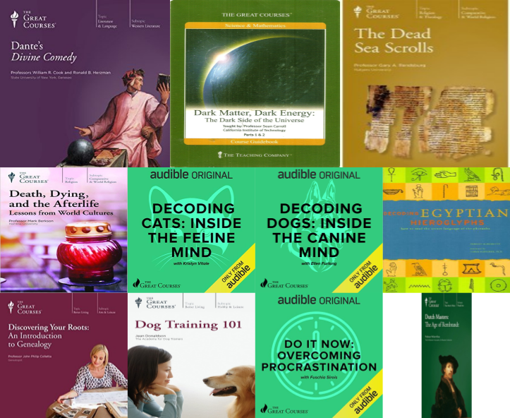 The Great Courses - The Modern Scholar - Volume - D ~ 14 MP3 AUDIOBOOK COLLECTION