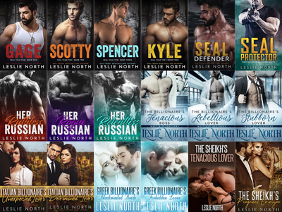 Saving the SEALs Series & more by Leslie North ~ 19 MP3 AUDIOBOOK COLLECTION