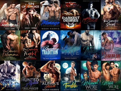 Boundless Love Series & more by Noah Harris ~ 18 MP3 AUDIOBOOK COLLECTION