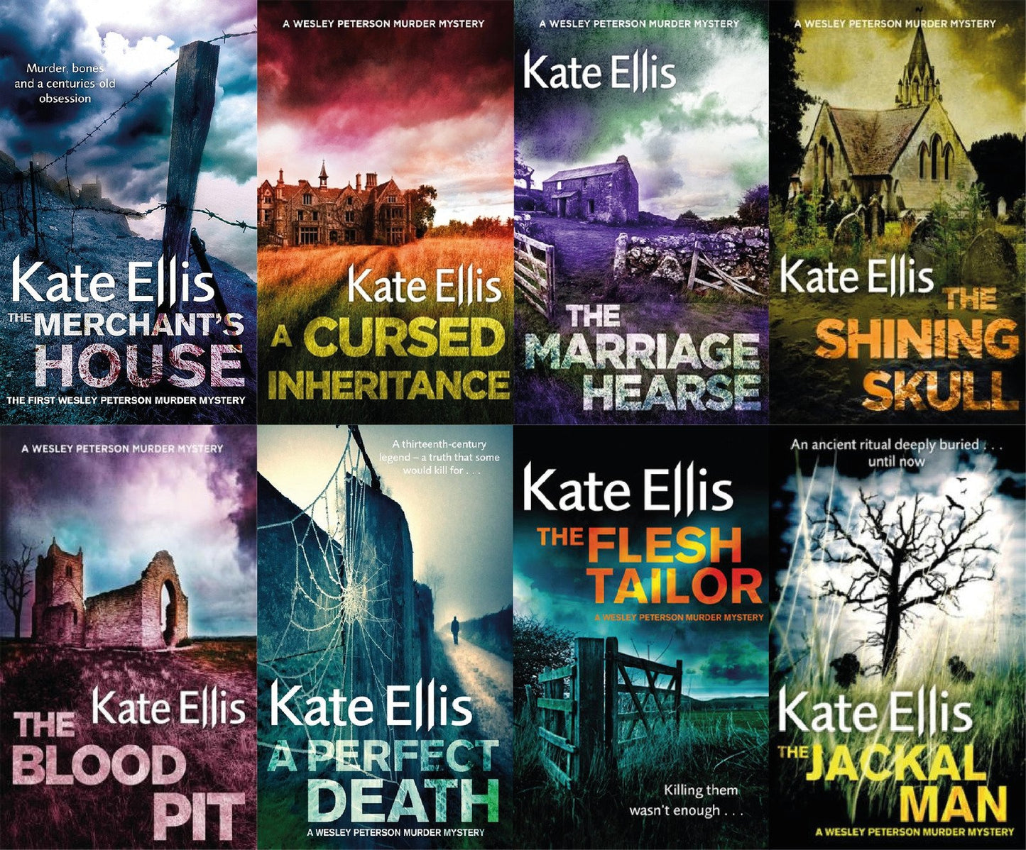 The Wesley Peterson Mysteries by Kate Ellis ~ 8 MP3 AUDIOBOOK COLLECTION